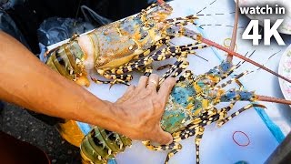 Eating Giant SPINY LOBSTER and Tiger Shrimp - Thailand Street Food with Trevor James [Watch in 4K]!