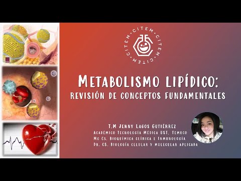 Clase : Metabolismo de Lípidos
