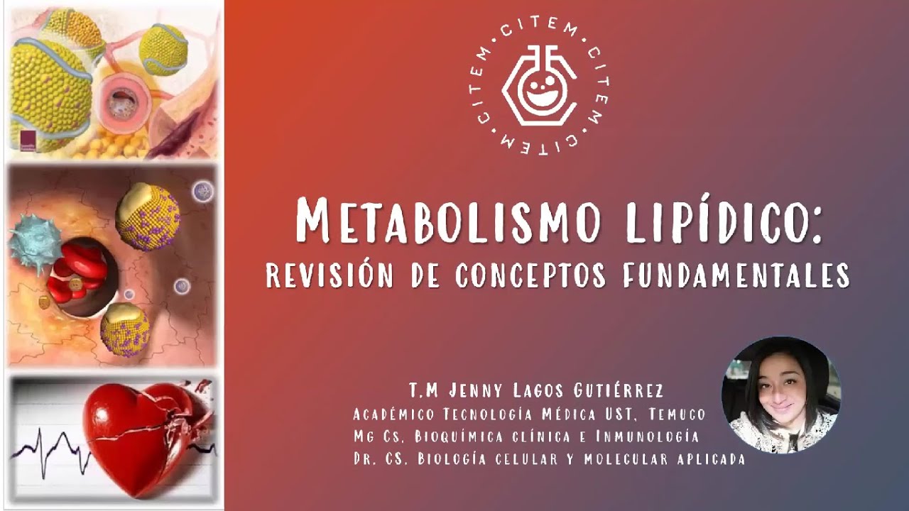 Clase : Metabolismo de Lípidos