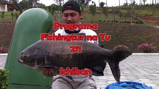 Programa Fishingtur na Tv 211 - Pescaria no Pesqueiro Ichiban
