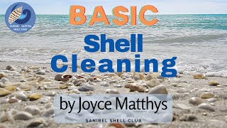 How to Clean Shells - Basic Shell Cleaning
