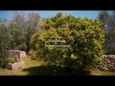 Conferência Internacional do Processo Hoffman