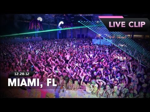 Life In Color Live Clip - Miami, FL - E.N.D Tour - 12/28/12 -