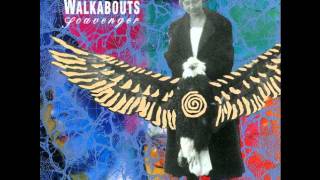 The Walkabouts - Stir The Ashes
