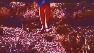 Saint Francis Amongst the Mortals - Spent Time