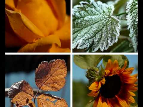 Una poesia anche per te - Elisa