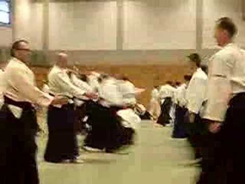 Tendoryu-Aikido at Shimizu Sensei Seminar Hamburg 2008_2