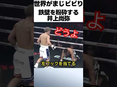 井上尚弥の鉄壁粉砕術が怖すぎる！ #ボクシング #格闘技 #井上尚弥