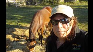 He&#39;s an Indian cowboy in the rodeo