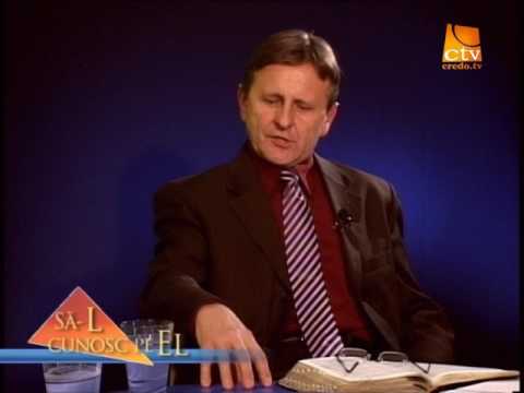 006. Mircea Detesan (Arhiva 2008)