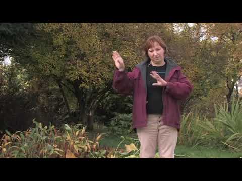 Best Time for Pruning Gardenias