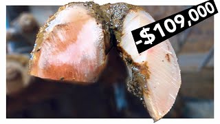 Download lagu THIS COW HAS HALF HER FOOT MISSING ...& IT COST ME A FORTUNE! mp3 Download lagu THIS COW HAS HALF HER FOOT MISSING ...& IT COST ME A FORTUNE! mp3