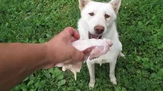 ТАЙНА В КЛИНИКУ!!!ЗЛАТА НА СТРОЙКУ!!!