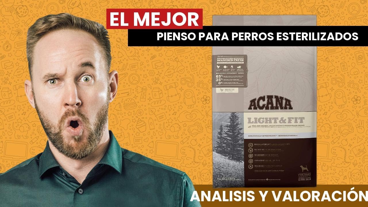 EL MEJOR PIENSO PARA PERROS ESTERILIZADOS 2021