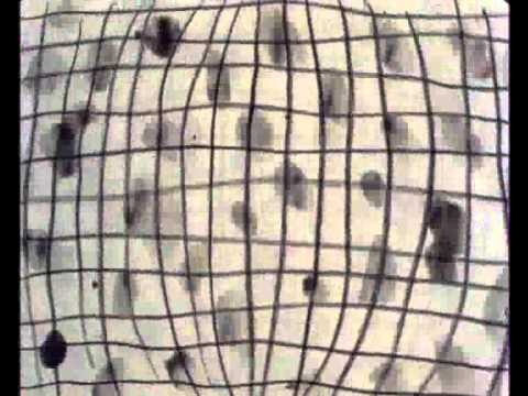 Night Club (1983) - Jonathan Hodgson