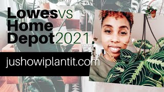 Big Box Store Plant Shopping 2021: Lowes Vs Home Depot, Who Has The Best Houseplants