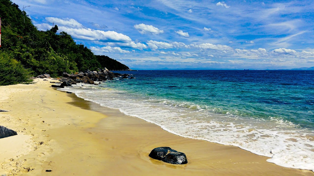 Relaxing Ocean Waves on a Tropical Beach