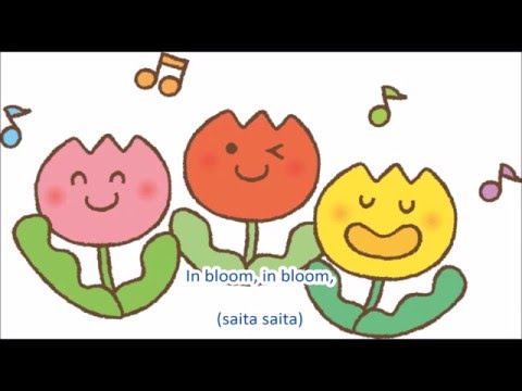 Canción popular japonesa n.° 40: Tulipanes/La primavera nace en algún lugar