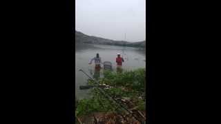 preview picture of video 'Hartbeespoort Dam carp'