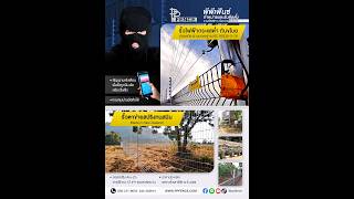 พี พี โปร กรุ๊ป บจก