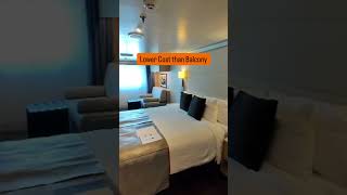 Are Ocean View Cabins Worth It on Holland America? | Nieuw Statendam Review