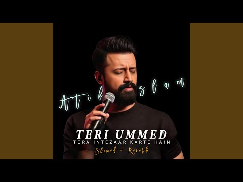 Teri Umeed (Org Mashup Beat)