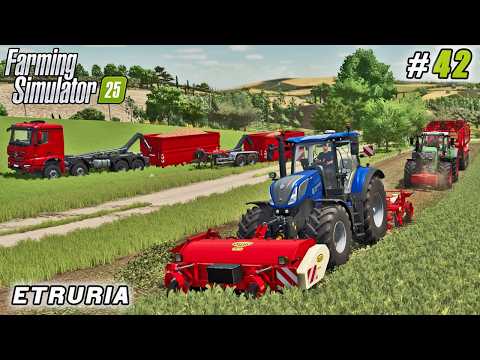 Double Tractors, Full Trailers – Sugar Beet Harvest Begins! | FS 25 | Etruria Farm | Timelapse #42