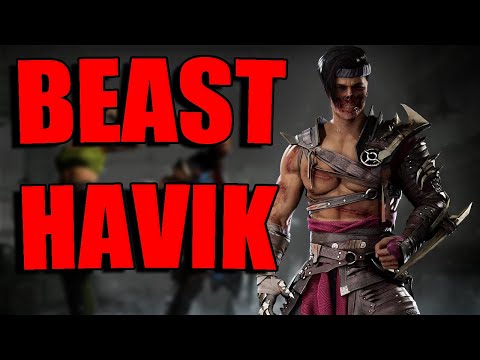 THIS is What a Good Havik Looks Like in Mortal Kombat 1