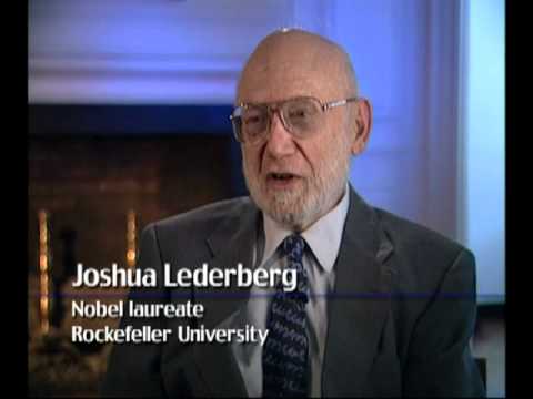 DNA understanding the book of life