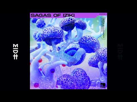 Djuma Soundsystem & NenaHalena - Nangarin (MIDH Premiere)