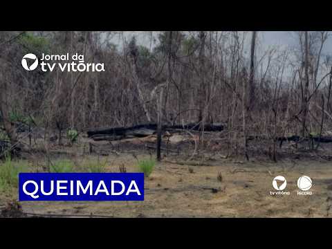 Levantamento aponta menor área queimada no Espírito Santo em 16 anos