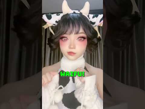 Marrying Anime Waifu in Japan!