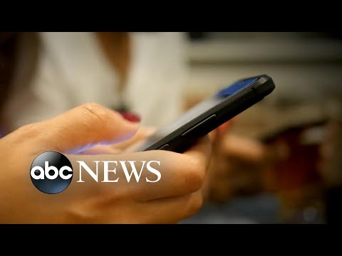 GIF popularity explored