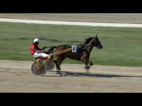 2018.04.21. 4 futam Ügető