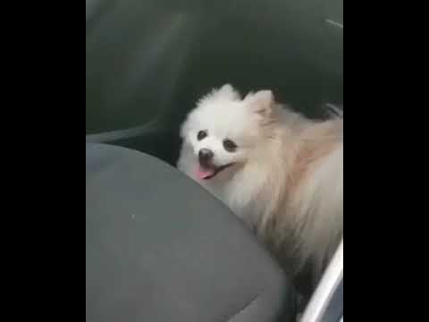 tumblr oxc22hA8Ke1u4q15v