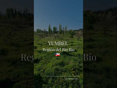 En Venta- Yumbel, Bio Bío,  🇨🇱  contacto 9 57 6591 70 Jal.propiedades Jal.cdpropiedades@gmail.com