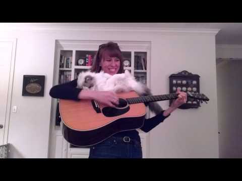 The Purple Hulls and Boo Cat