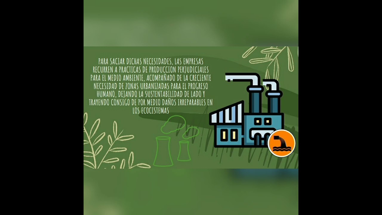 Ensayo sobre la contaminación ambiental