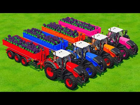LOAD AND TRANSPORT BLACKBERRYS WITH FENDT TRACTORS - Farming Simulator 2022