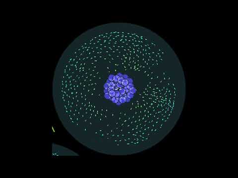 NIHILS - Back to the start