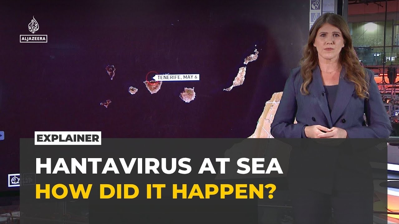 How hantavirus spread aboard an Antarctic cruise ship: Explainer
