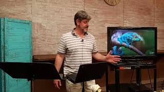 New Testament Survey, Part 17