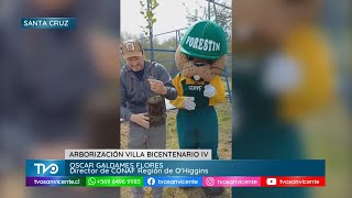 Gracias a CONAF Villa Bicentenario IV recupera sitio eriazo con arborización y espacios comunitarios