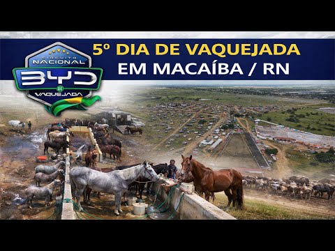 5º DIA DE VAQUEJADA EM MACAÍBA/RN, 2ª ETAPA DO CIRCUITO BYD DE VAQUEJADA.