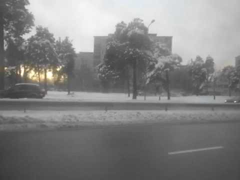 58. autobusu maršruts: Purvciems — Vecmīlgrāvis