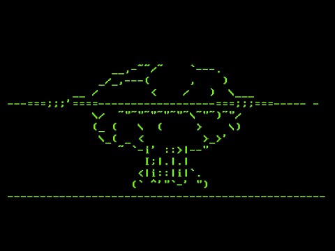 Lightning Talk video USENIX Security'15 - #236 Pellegrino