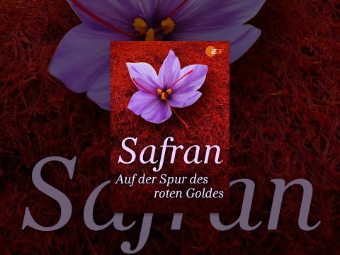 Safran - Auf der Spur des roten Goldes