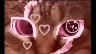 Cover art for APT X Akmal