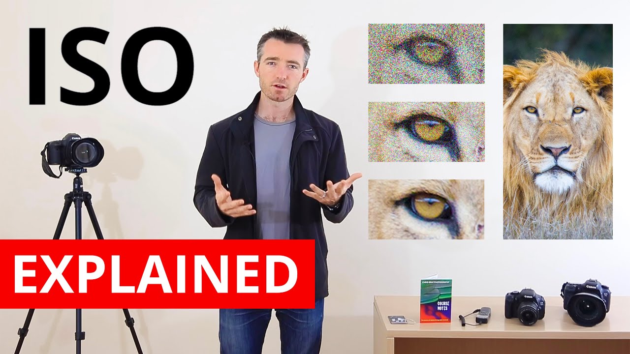 Photography Tutorial   What is ISO and how to use it by Chris Bray