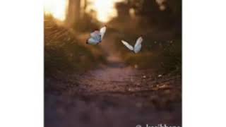 Download lagu Story WA terlalu besar kasih Mu Bapa mp3